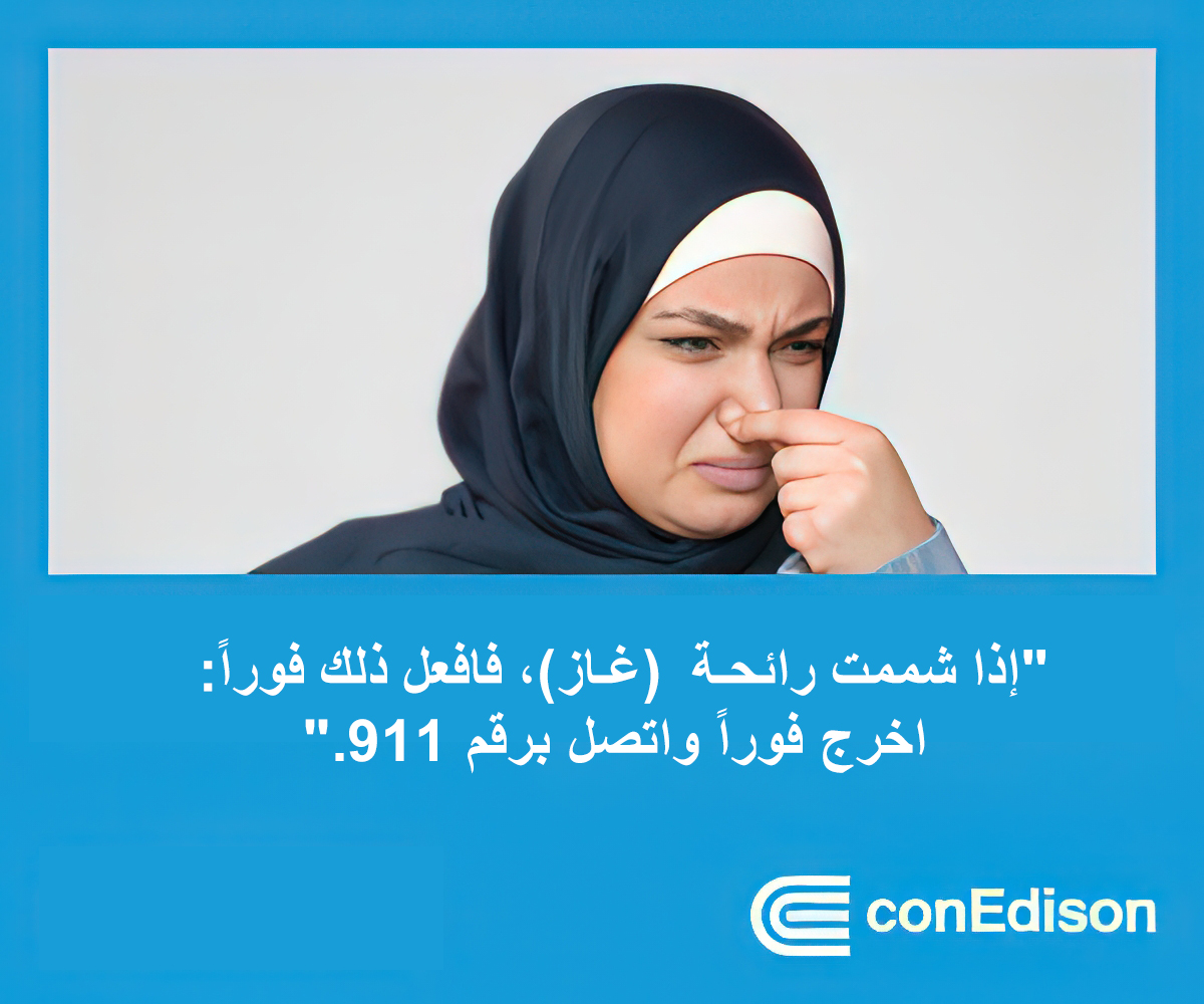 - الإعلانات -